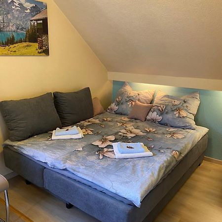 Birkenstuebchen Apartment Lautenthal ภายนอก รูปภาพ