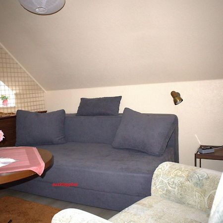 Birkenstuebchen Apartment Lautenthal ภายนอก รูปภาพ