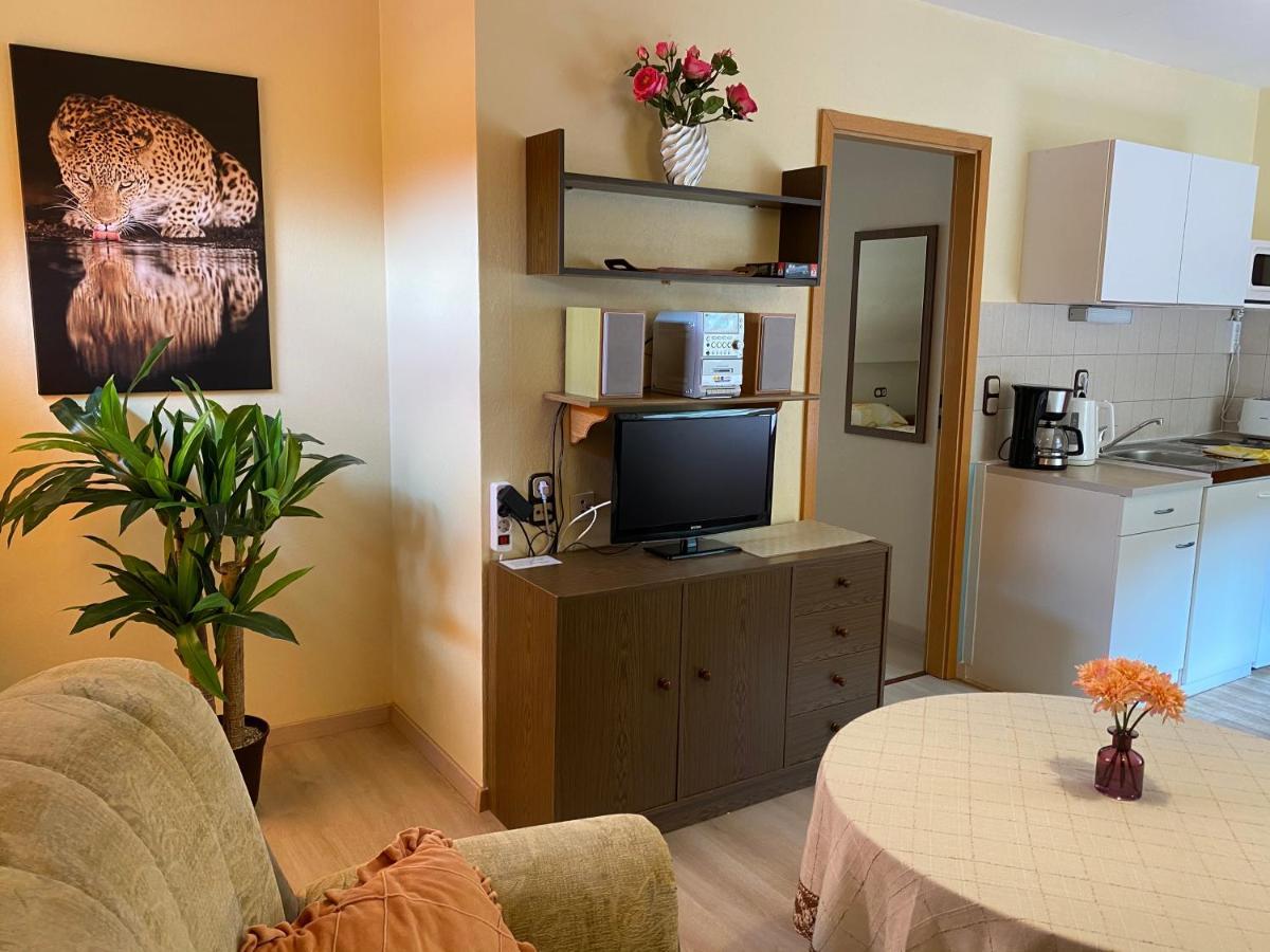 Birkenstuebchen Apartment Lautenthal ภายนอก รูปภาพ
