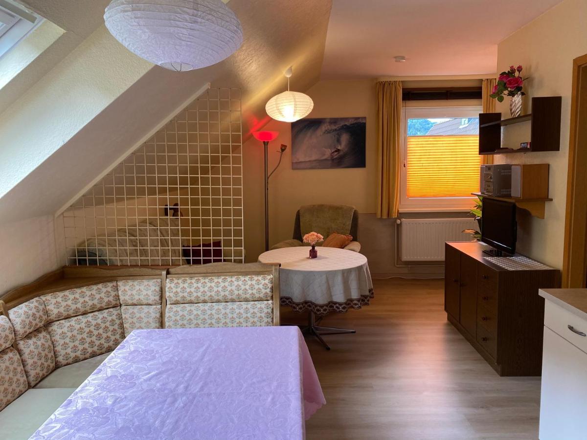 Birkenstuebchen Apartment Lautenthal ภายนอก รูปภาพ