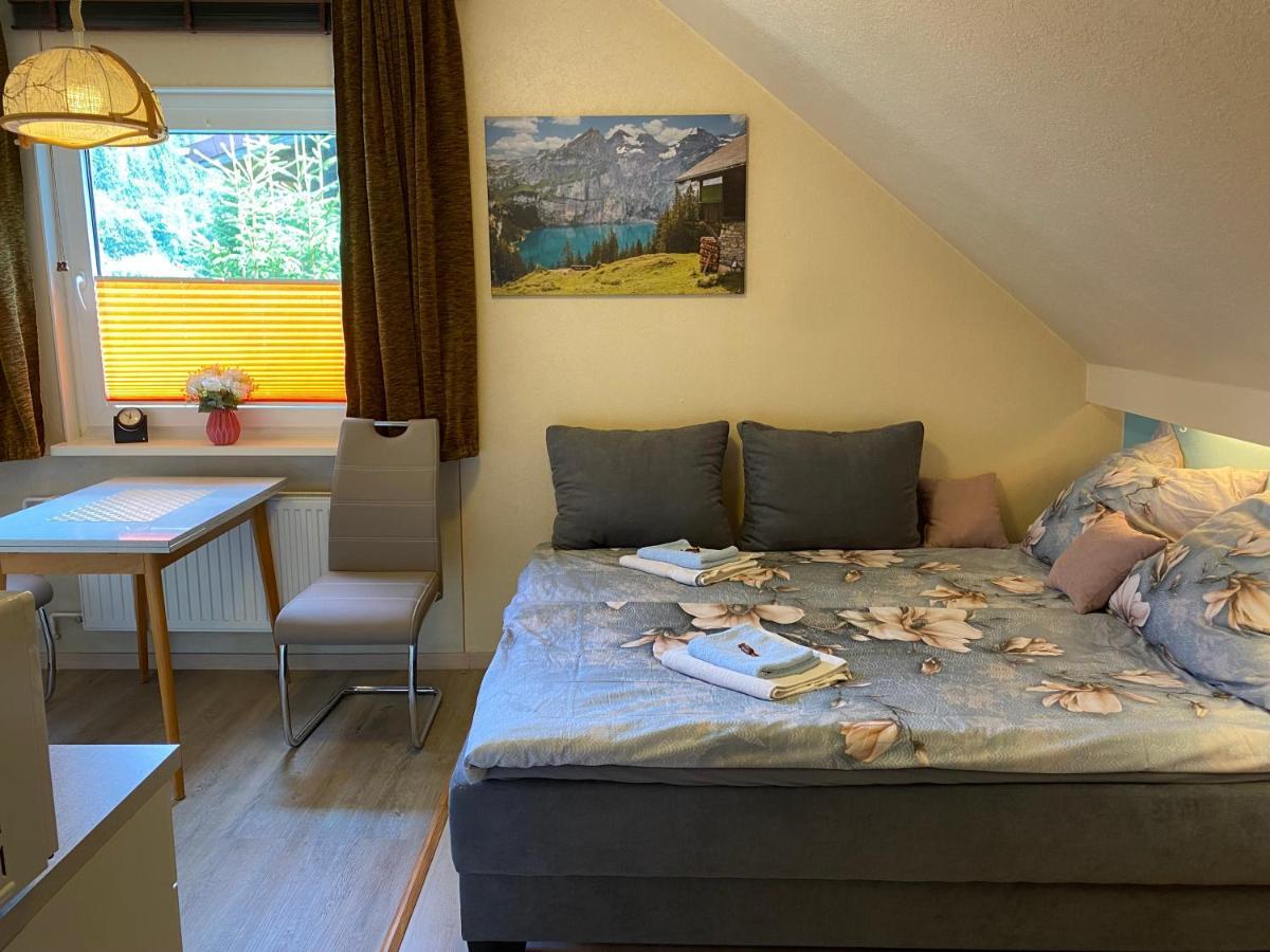 Birkenstuebchen Apartment Lautenthal ภายนอก รูปภาพ