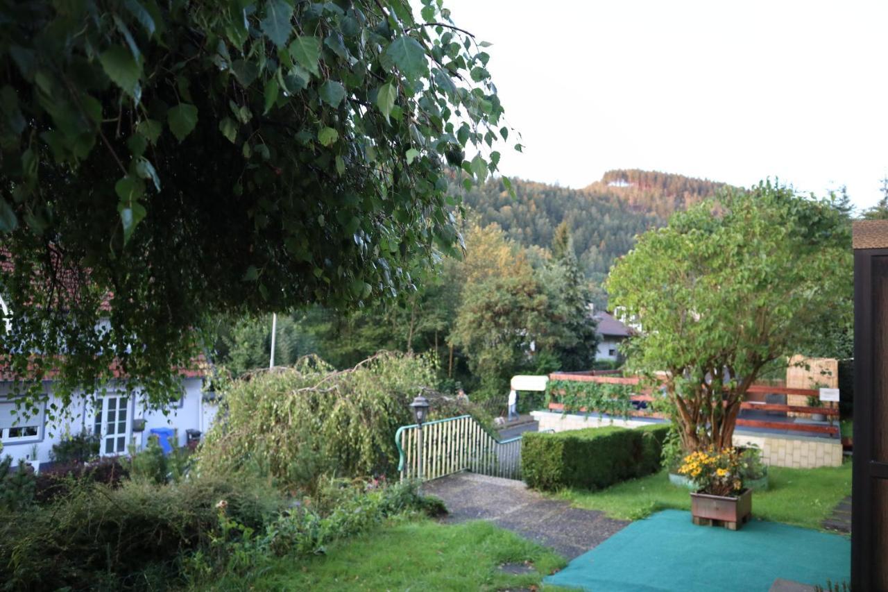 Birkenstuebchen Apartment Lautenthal ภายนอก รูปภาพ