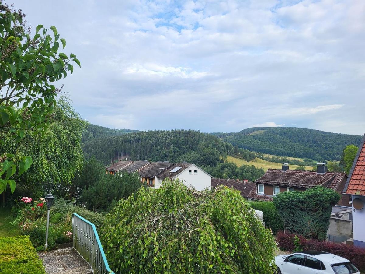 Birkenstuebchen Apartment Lautenthal ภายนอก รูปภาพ