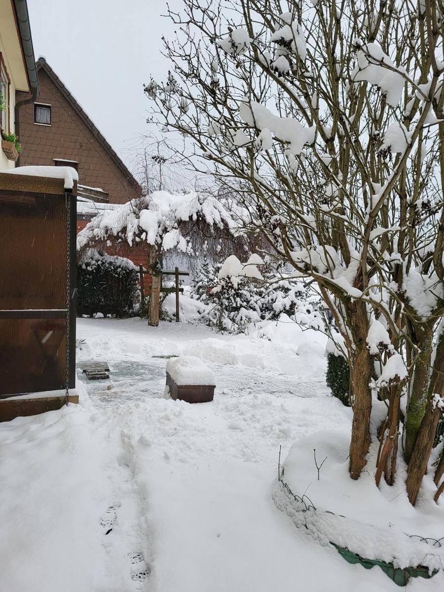 Birkenstuebchen Apartment Lautenthal ภายนอก รูปภาพ