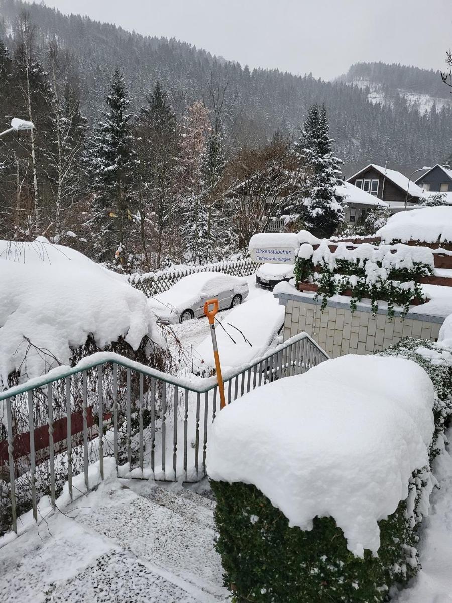 Birkenstuebchen Apartment Lautenthal ภายนอก รูปภาพ